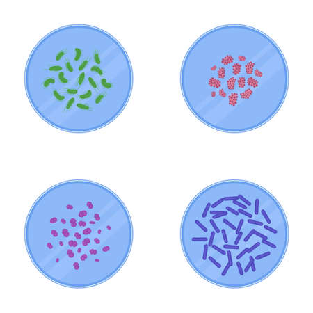 Microscopic view of bacteria in petri dishes