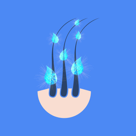 Hair follicles skin cross-section with serum dropsのイラスト素材