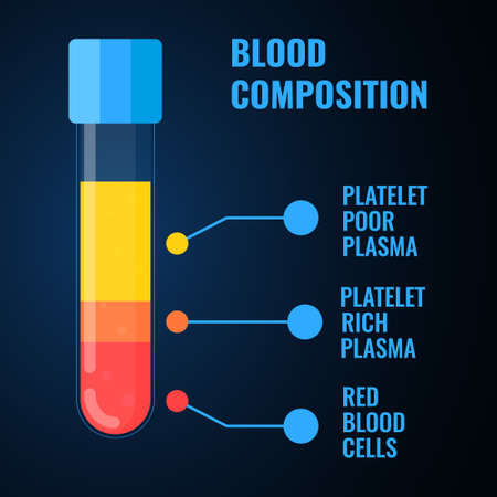 Blood composition medical infographics poster of a test-tubeのイラスト素材