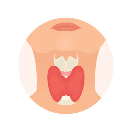 Thyroid gland in a silhouette of a woman