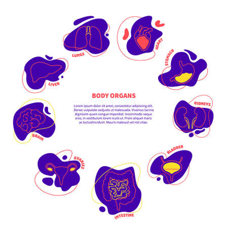Human body organs contemporary outline icon setのイラスト素材