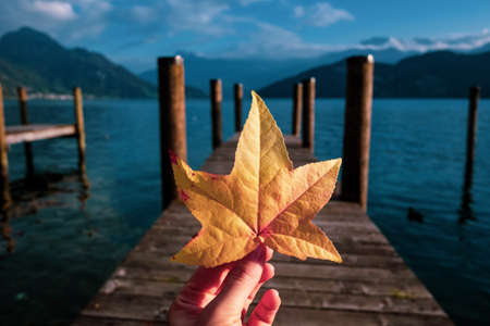 Woman holding a leaf in a hand on a wooden pierの写真素材