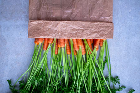 Fresh carrots with leaves from the farmer marketの写真素材
