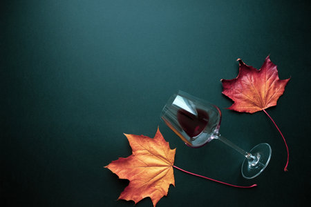 Red wine glass and grape leaves autumn compositionの写真素材