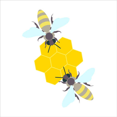 Honey bees with honeycomb. Vector illustrationのイラスト素材