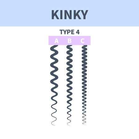 Kinky hair type classification system set. Detailed human hair growth style chart. Health care and beauty concept. Vector illustration.のイラスト素材