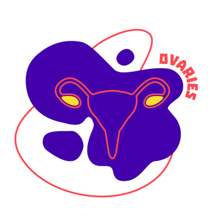 Ovaries endocrine and female reproductive systems body organ outline icon on abstract geometric splash. Human anatomy medical cartoon symbol. Vector illustration.のイラスト素材