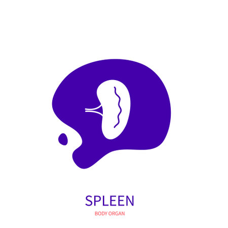 Spleen lymphatic system body organ silhouette icon on abstract geometric splash. Human anatomy medical symbol. Vector illustration.のイラスト素材