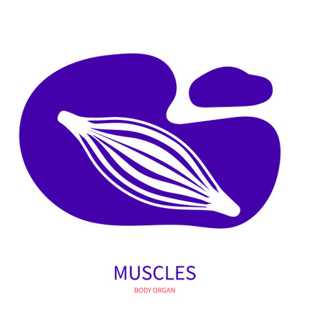 Muscle tissue diagram of muscular system. Body silhouette icon on abstract geometric splash. Human anatomy medical symbol. Vector illustration.のイラスト素材