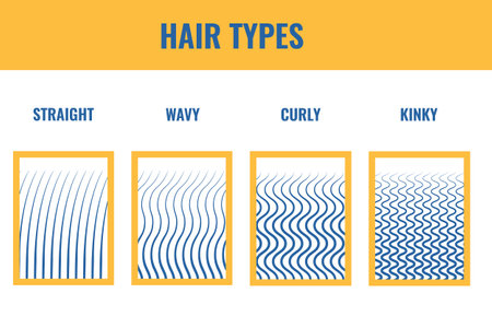 Straight, wavy, curly hair types classification set. Strand cross-section. Human hair growth style chart. Health care and beauty concept. Vector illustration.のイラスト素材