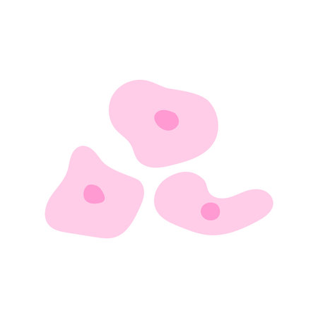 Human stem cell cluster icon. Nucleus and membrane tissue under microscope. Medical design illustration.のイラスト素材