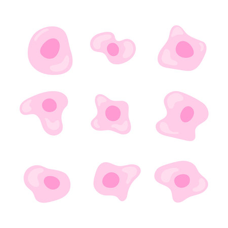 Human stem cell icon set. Nucleus and membrane tissue under microscope. Medical design illustration.のイラスト素材