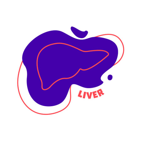 Liver digestive system body organ outline icon on abstract geometric splash. Human anatomy medical cartoon symbol. Vector illustration.のイラスト素材
