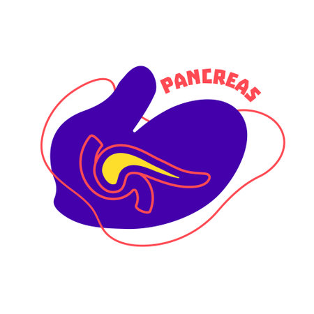 Pancreas diagram of endocrine and digestive system. Body organ outline icon on abstract geometric splash. Human anatomy medical cartoon symbol. Vector illustration.のイラスト素材