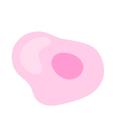 Human stem cell icon. Nucleus and membrane tissue under microscope. Medical design illustration.のイラスト素材
