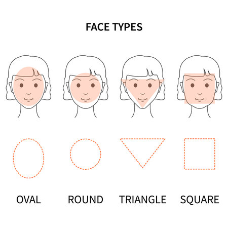 Female face shape types illustration. Facial features contour infographic set. Different head forms of a woman cartoon character. Linear vector illustration.のイラスト素材