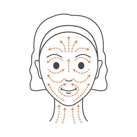 Anti-age face lifting massage technique for rejuvenation and radiant look. Facial routine to reduce fine lines and wrinkles. Beauty and wellbeing concept. Vector linear illustration.のイラスト素材