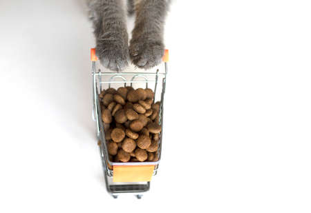 Fluffy Cat Paws Hold Grocery Mini Cart with Dry Foodの写真素材