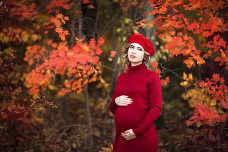 pregnant woman in a red dress, in autumn, holding on to the stomach with her handsの写真素材