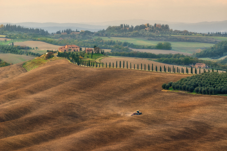 Italy. Tuscany. Fields at Villa Agriturismo Baccolenoの写真素材