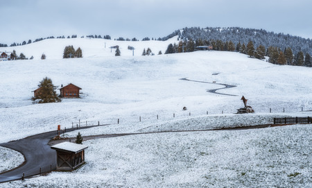 Italy. Dolomites. Snowy morning on the plateau of Alpe di Siusiの写真素材