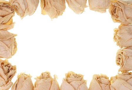 Dried roses picture frameの写真素材