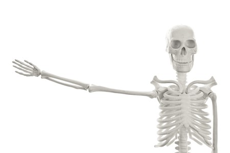 Plastic human skeleton model with outstretched hand on white backgroundの写真素材