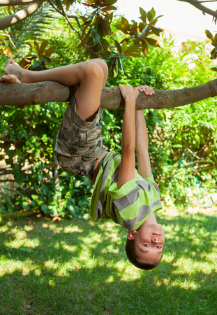 Boy hanging from a tree branch in a summer gardenの写真素材
