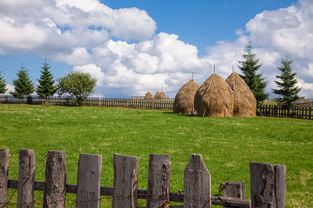 Loose stacked hay built around a central pole in Carpathian Mountains, Romaniaの写真素材