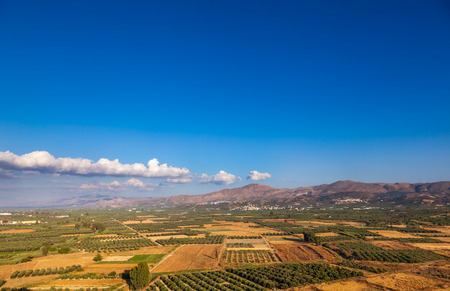 Scenic view of summer Crete Greek Island with olive tree plantations and mountains in backgroundの写真素材