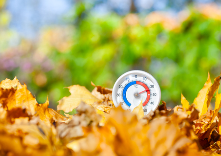 Outdoor thermometer  with celsius scale in golden maple leaves showing warm temperature - hot indian summer or global warming conceptの写真素材