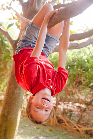 Portrait of carefree boy hanging upside down from a tree in a park enjoying summertimeの写真素材