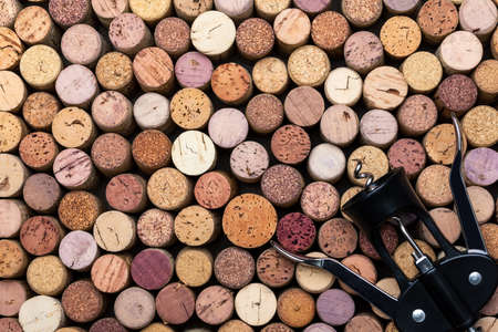Collection of used wine corks with corkscrew top view