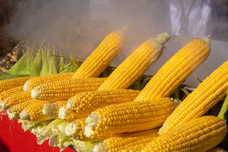 Fresh corn cobs at a street vendor stall ready to be roasted on a coal grill in Istanbul, Turkey