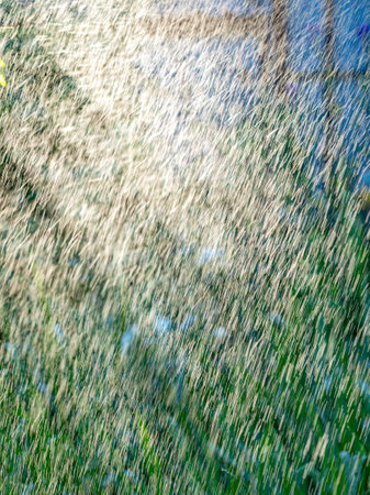 Traces of water drops illuminated by Sun while watering summer garden with irrigation system