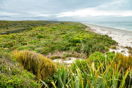 Tauparikaka Marine Reserve on the West Coast of South Island of New Zealand resembling how coastal landscape may have looked before human settlementの写真素材