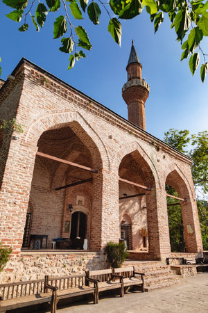 Suleymaniye Mosque, framed by green leaves under a clear blue sky, Antalya Province, Turkeyの写真素材