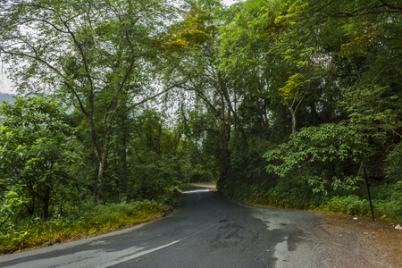 Beautiful view of Attappadi road, located in Palakkad district Kerala, South Indiaの写真素材