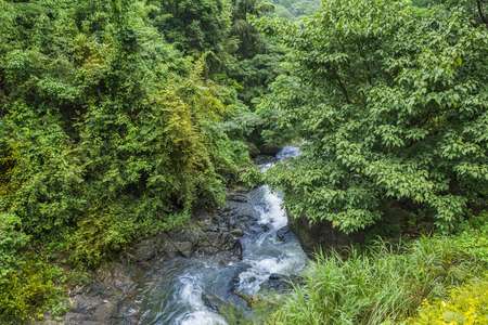 Beautiful view of forest waterfalls, located in Attappadi, Palakkad district Kerala, South Indiaの写真素材