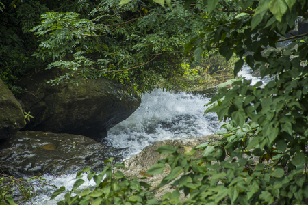Beautiful view of forest waterfalls, located in Attappadi, Palakkad district Kerala, South Indiaの写真素材