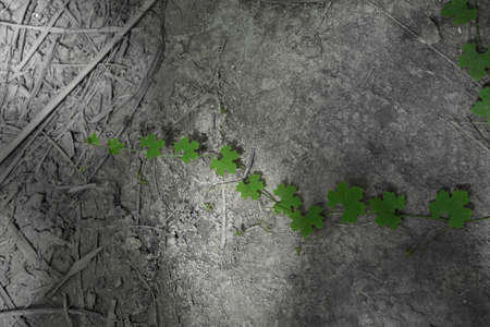 Green leaf natural background imageの写真素材