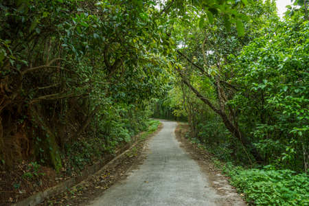 Beautiful view of countryside road