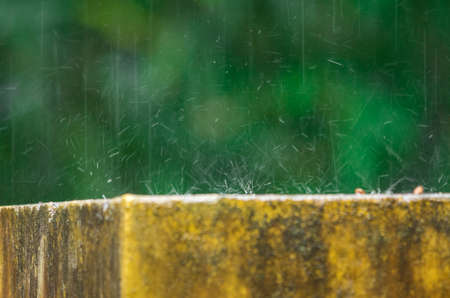 Raindrop splashの写真素材