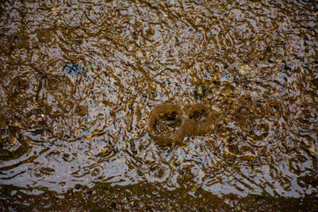 Raindrop splashの写真素材