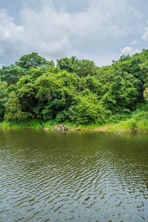 Beautiful view of Asurankund dam, located in Trissur district Kerala, South Indiaの写真素材