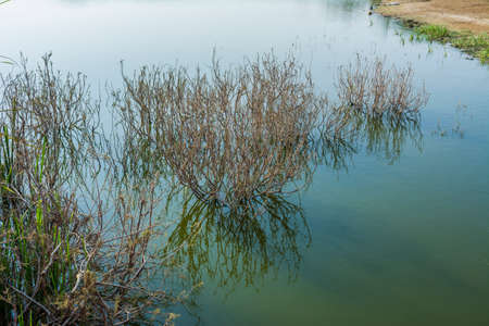 Beautiful Desert lake in Jeddah, Saudi arabia