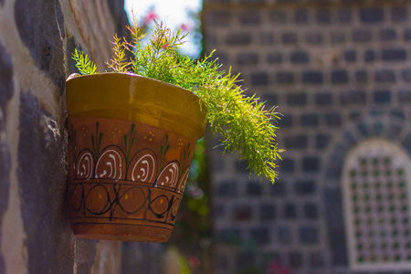 Flower pot on the wallの写真素材