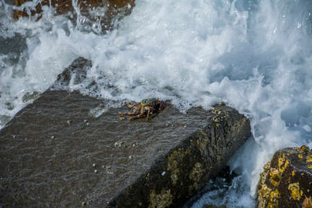 Sea waves splashの写真素材