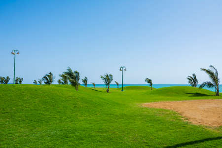 Beautiful arabian landscape, yambu - Saudi arabiaの写真素材