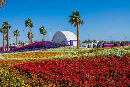 Flower carpet in Yanbu flower show, The Yanbu Flower Festival is one of the biggest festivals in Saudi Arabia. In the 2017 edition of it they managed to make the largest carpet of flowers/plantsのeditorial素材